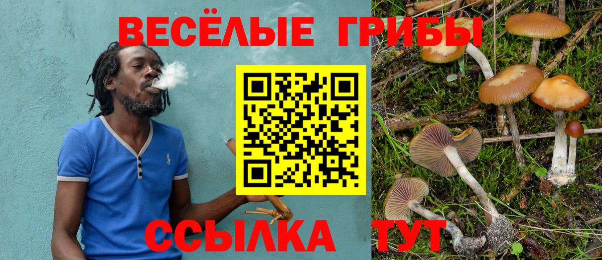Псилоцибиновые грибы ЛСД  Вход с VPN  Ногинск  Псилоцибиновые грибы MAGIC MUSHROOMS 