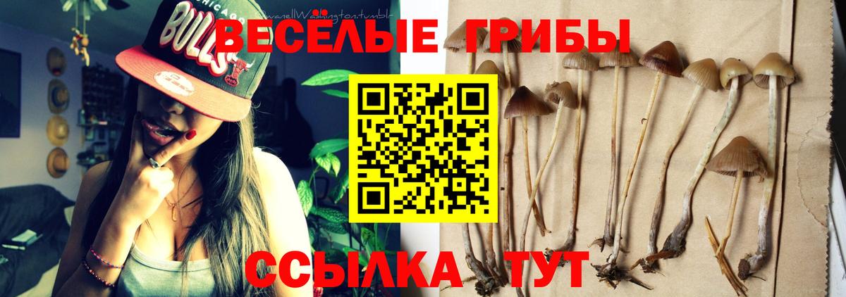 Галлюциногенные грибы GOLDEN TEACHER Ногинск