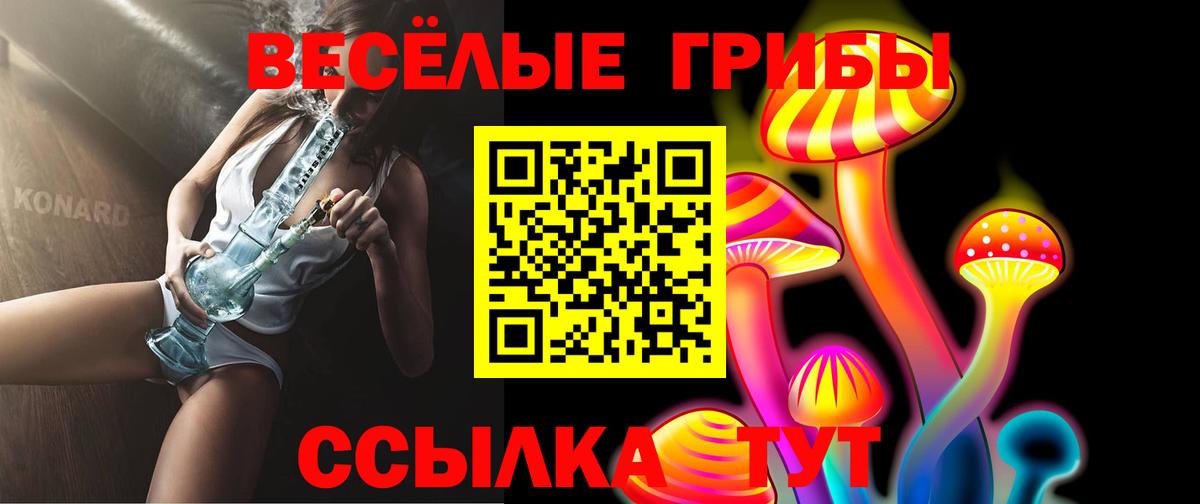 A PVP Ногинск